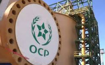 Engrais : OCP dépasse 100 milliards de dirhams