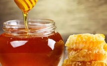 Miel marocain : entre moteur économique et défis d’exportation