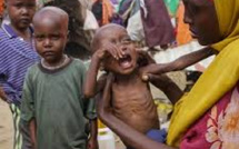 Crise alimentaire : la Somalie face à une famine imminente