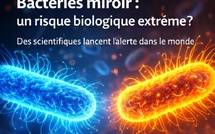Bactéries miroir : un avertissement mondial face à une menace biologique potentielle
