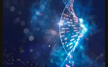 De la recherche au réel : l’ADN se rapproche des disques durs traditionnels