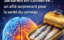 Sardines en conserve : un allié surprenant pour la santé du cerveau
