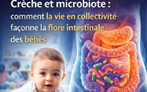 Crèche et microbiote : comment la vie en collectivité façonne la flore intestinale des bébés