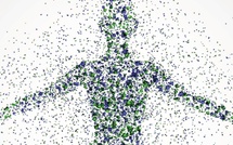 Métabolisme : mythe du “rapide ou lent” et vraies clés de la dépense énergétique