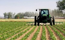 Entrepreneuriat rural