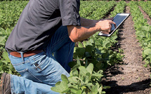 Emploi rural : 40 000 jeunes formés à l'entrepreneuriat agricole au Maroc