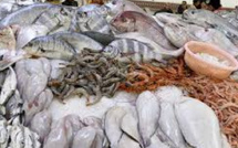 Farine de poisson : le Maroc s’impose en Europe