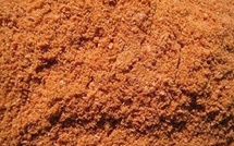 Maroc, nouvel eldorado de la farine de poisson sur le marché européen