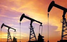 Crise pétrolière : l’AIE libère 400 millions de barils pour stabiliser le marché