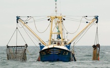 Pêche continentale : le Maroc impose l’immatriculation des embarcations