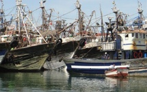 Dakhla investit 17,75 MMDH pour développer l’industrie des produits de la mer