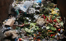 Le grand gâchis : Quand les Marocains jettent leur souveraineté alimentaire à la poubelle