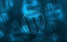 ​Cyberattaques: la DGSSI alerte sur des failles critiques dans des extensions WordPress