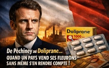 La France.. ​Quand un pays vend ses fleurons sans même s'en rendre compte !