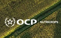 OCP Nutricrops accélère : deux nouveaux hubs stratégiques en Europe et en Inde