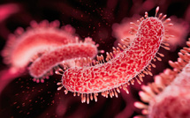 Tuberculose au Maroc : plus de la moitié des malades touchés hors poumons