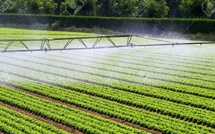 30.000 agriculteurs au cœur d’un modèle d’irrigation durable d’ici 2027