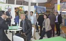 Agriculture nord-africaine : Bayer innove
