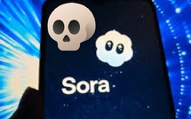 Sora est mort, et personne ne sait vraiment pourquoi