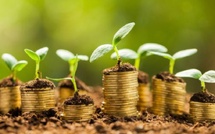 Green Invest Maroc : 31 M€ de la KfW pour financer la transition verte des TPME