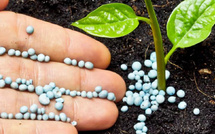 Engrais marocains : 2025, l’année du record européen !