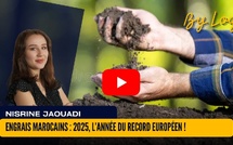 [vidéo] : Engrais marocains : 2025, l’année du record européen !