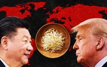 ​La petite graine qui tient le monde en otage ou la géopolitique du soja