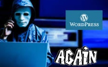 WordPress : une faille critique dans Perfmatters menace plus de 200.000 sites