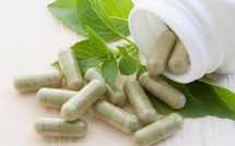 Attention : la Garcinia cambogia, compléments minceur à risque pour la santé