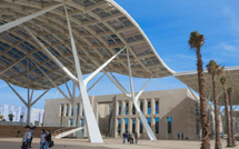 The Pulse : une nouvelle plateforme marocaine pour structurer les données des startups africaines