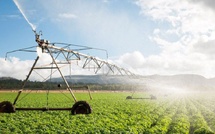 Recherche agricole : l’État mise sur l’innovation pour l’eau et le climat