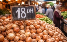 ​L’oignon à 18 DH, le nouveau signal d’alerte sur le pouvoir d’achat au Maroc