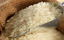 L’État déclenche une enquête face à l’explosion des importations du riz