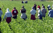 Souss-Massa : 10 projets d’agriculture solidaire pour jeunes et femmes rurales