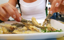 Peut-il y avoir du mercure dans les sardines ?