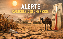 Un été très, très chaud ? El Niño revient avec des records de chaleur en 2026-2027