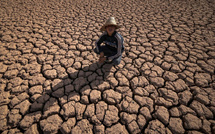 El Niño 2026: entre incertitudes scientifiques et menaces de sécheresse au Maroc