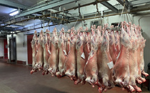 Viande rouge : la flambée avant l’Aïd
