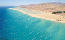 Réchauffement des océans : des poissons tropicaux apparaissent à Dakhla