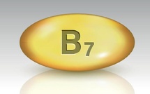 Découverte scientifique : le rôle crucial du biotine dans la survie des cellules cancéreuses