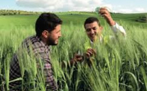 L'OCP réinvente l’agriculture au SIAM