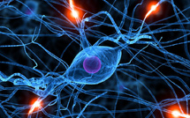 Maladie de Parkinson : une découverte sur le microbiote intestinal ouvre la voie à un diagnostic révolutionnaire.