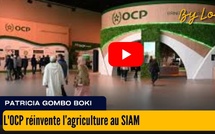 [vidéo] : L'OCP réinvente l’agriculture au SIAM