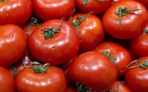 La flambée de la tomate ravive les tensions sur le panier alimentaire