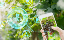 Génération Green entre dans l’ère digitale