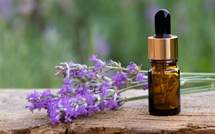 Lavande aspic : quels sont ses bienfaits pour la peau ?