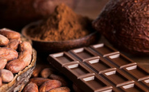 Chocolat au lait et cholestérol : pourquoi le chocolat noir reste le meilleur choix