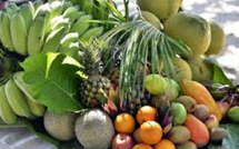 Boom des fruits tropicaux au Maroc
