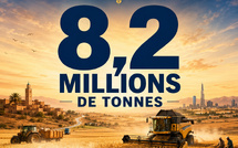 8,2 millions de tonnes — Le retour du blé marocain