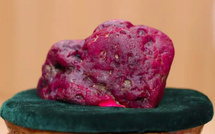 Découverte d’un rubis de 11 000 carats en Birmanie, un trésor inattendu